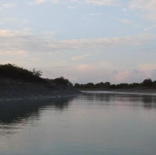 عکس منطقه حفاظت شده جنگل حرا