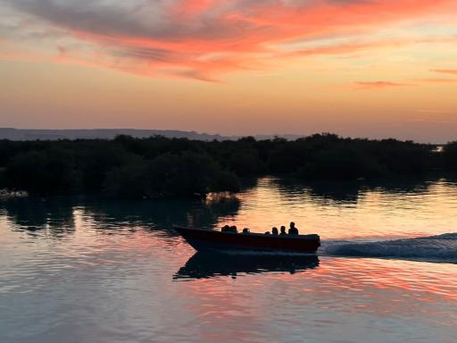 عکس منطقه حفاظت شده جنگل حرا