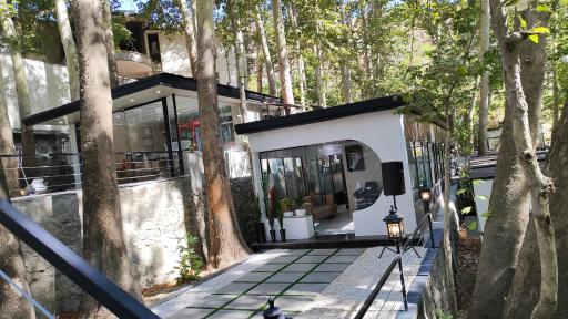 عکس باغ رستوران اسپیناس