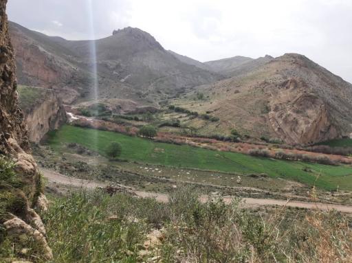 عکس قمچقای