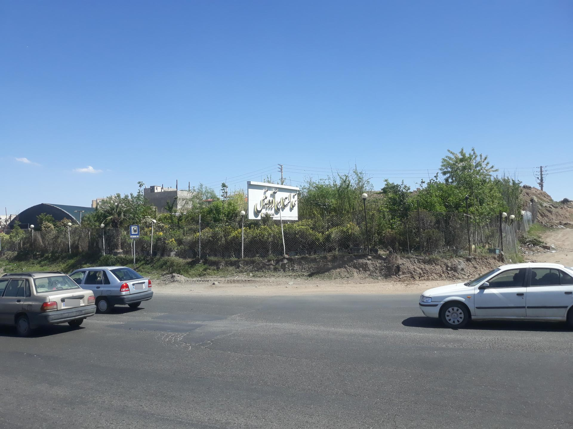 عکس نهالستان آدونیس