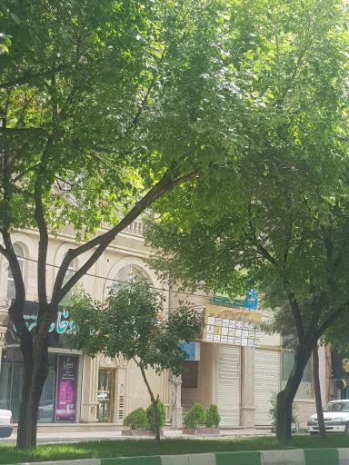 مطب دکتر کارون شاه ابراهیمی