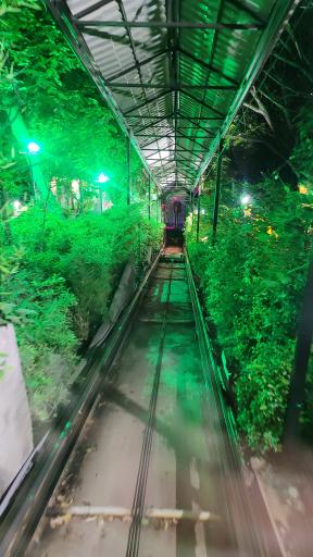 عکس باغ رستوران خانوادگی باغستان