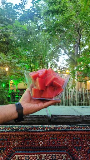 عکس باغ رستوران خانوادگی باغستان