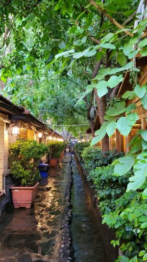 عکس باغ رستوران خانوادگی باغستان