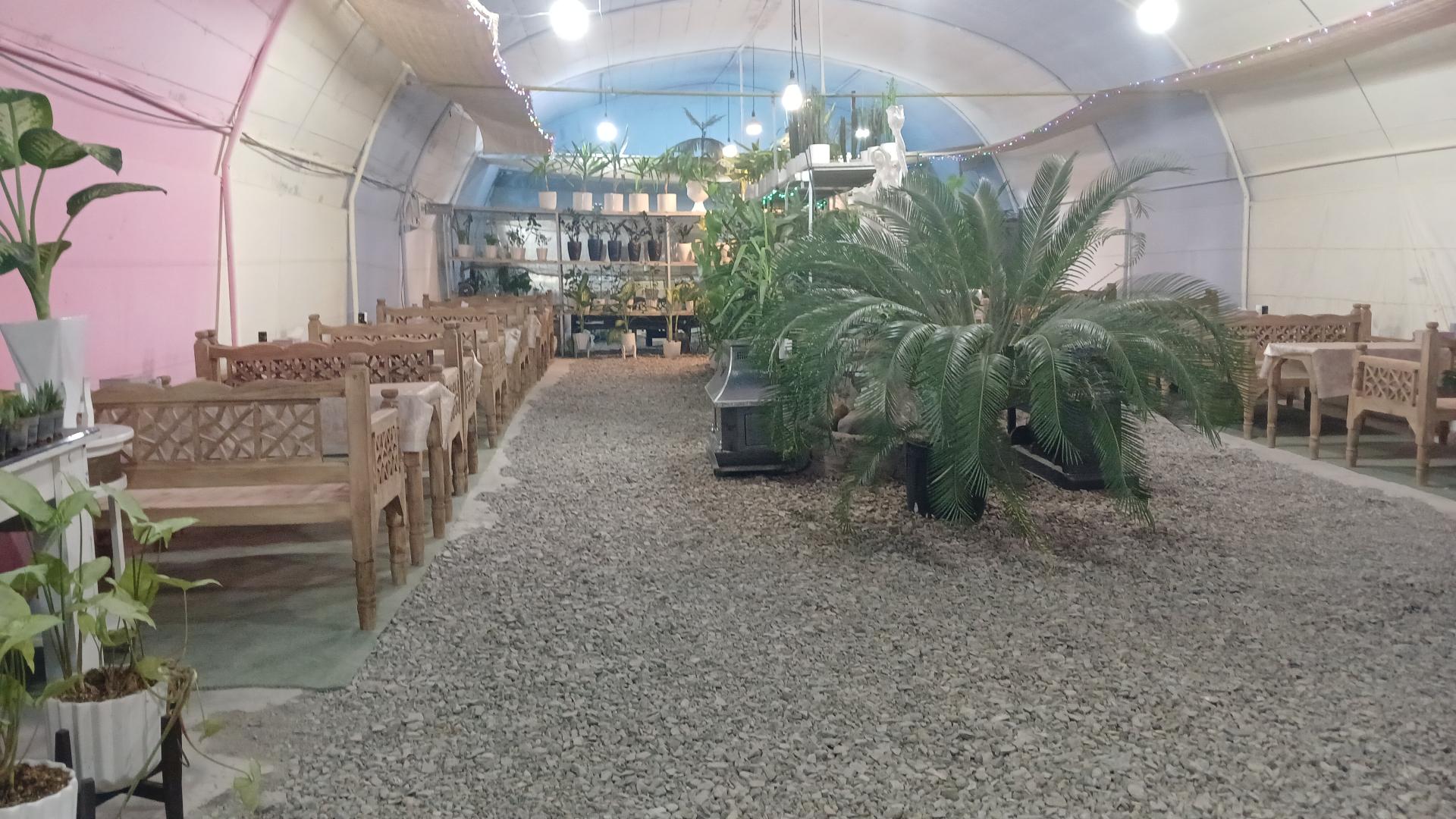 عکس کافه گلخانه گلستان 