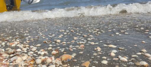 ساحل بندر آستارا