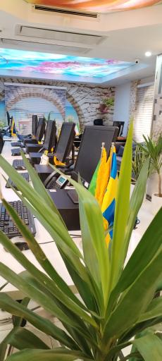 عکس آژانس مسافرتی و گردشگری سفرهای ایلیا