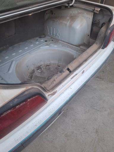 عکس کارواش ملت