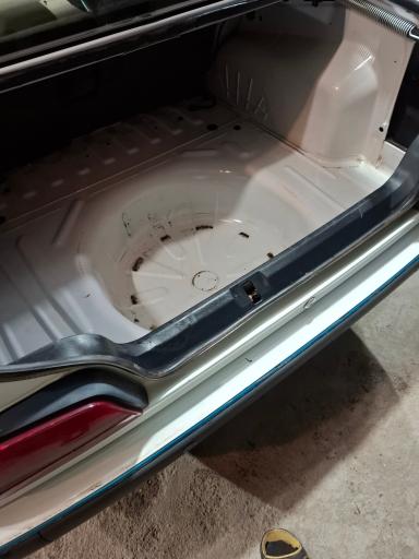 عکس کارواش ملت