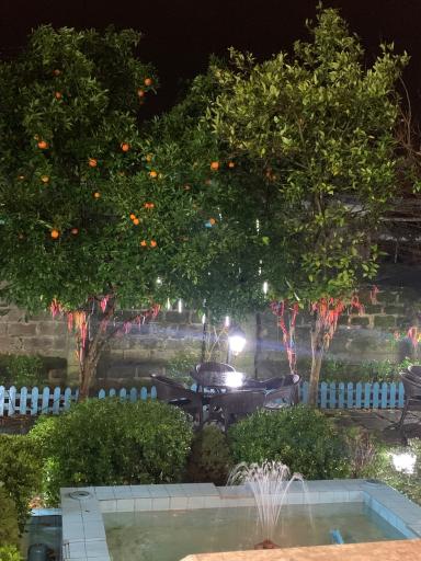 عکس رستوران خونه باغ یار ماشالله