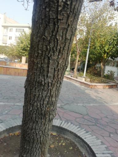 عکس بوستان محله طوس