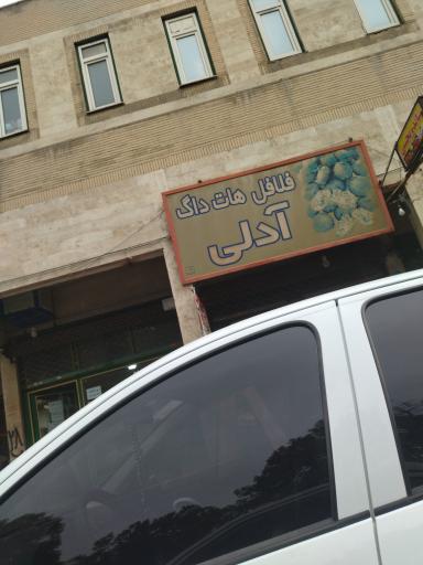 عکس فلافلی آدلی