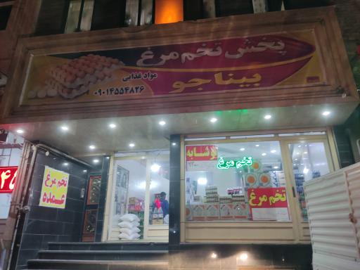 عکس پخش تخم مرغ بیناجو