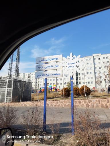 عکس بوستان گل نرگس 