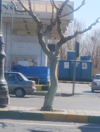 عکس جایگاه گاز CNG ملارد