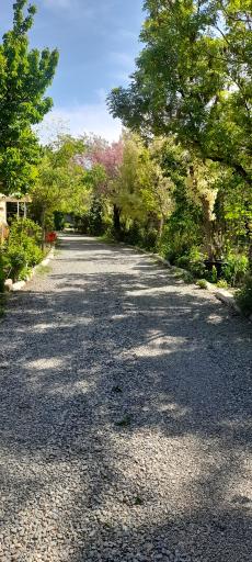 عکس باغ گل و گیاه رضایی