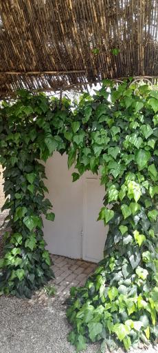 عکس باغ گل و گیاه رضایی