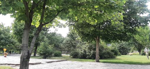 عکس پارک ائللر باغی