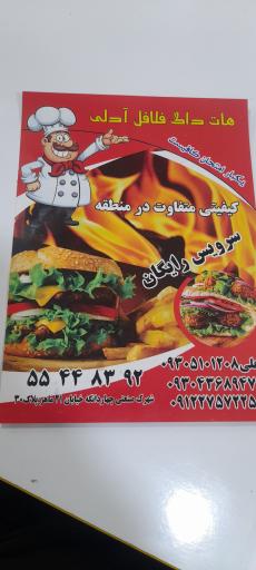 عکس فلافلی آدلی