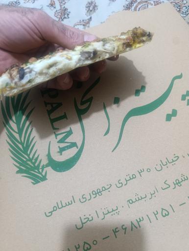 عکس پیتزا نخل