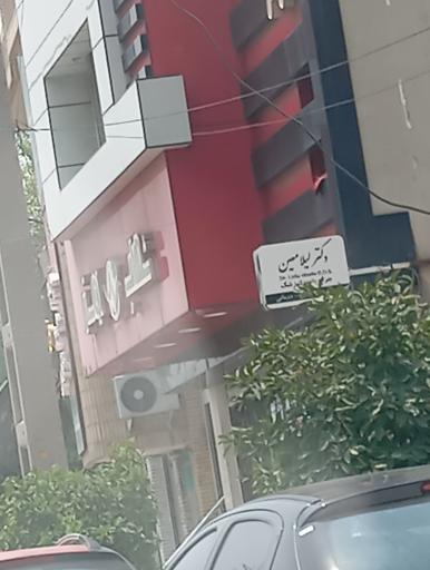 عکس دکتر لیلا معین