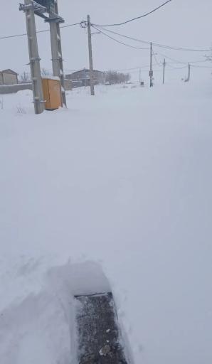 عکس شنستق علیا