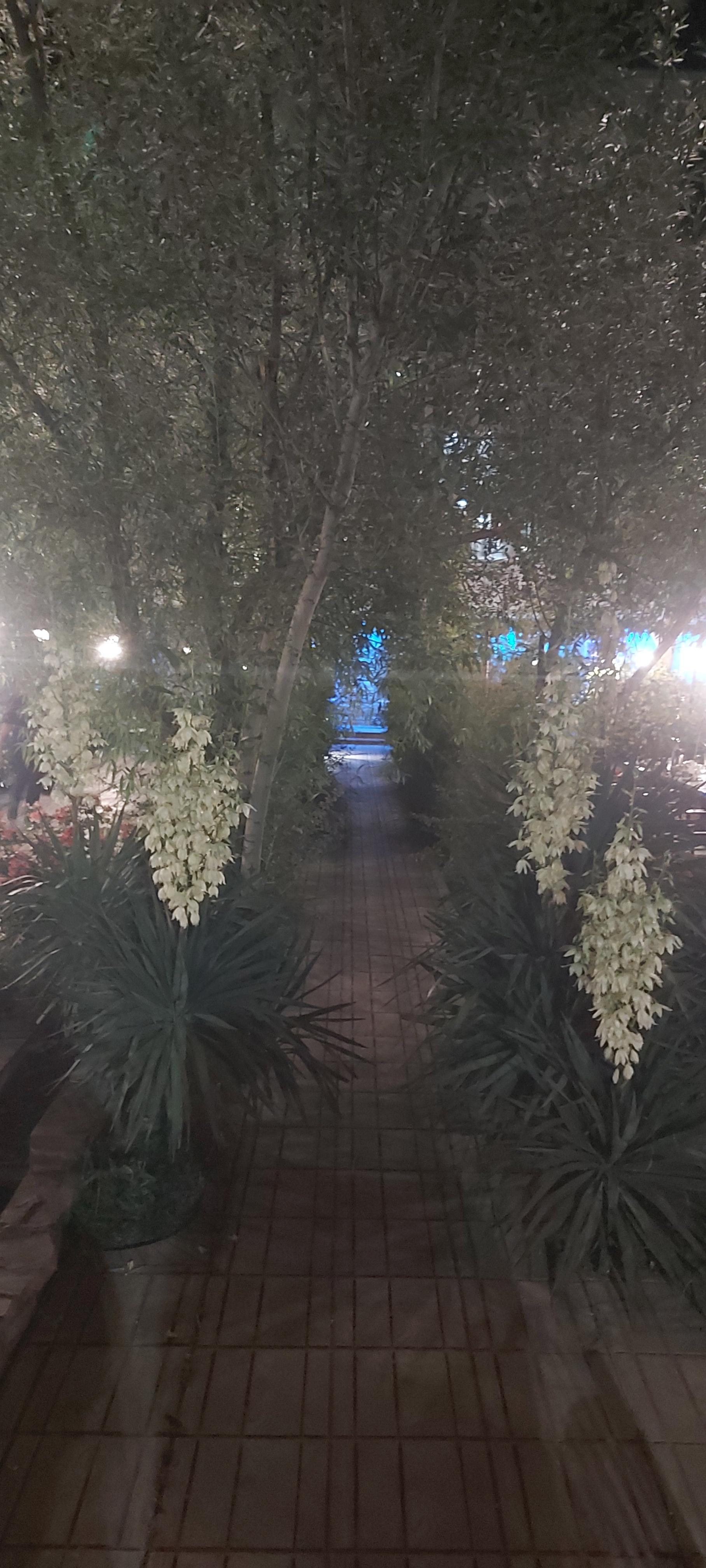 عکس مجتمع پذیرایی نگین کوهسار