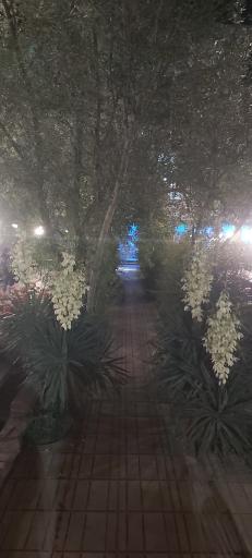 عکس مجتمع پذیرایی نگین کوهسار