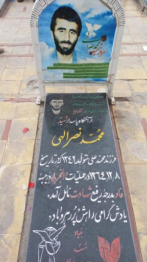 عکس گلزار شهدای بین المللی کرمان