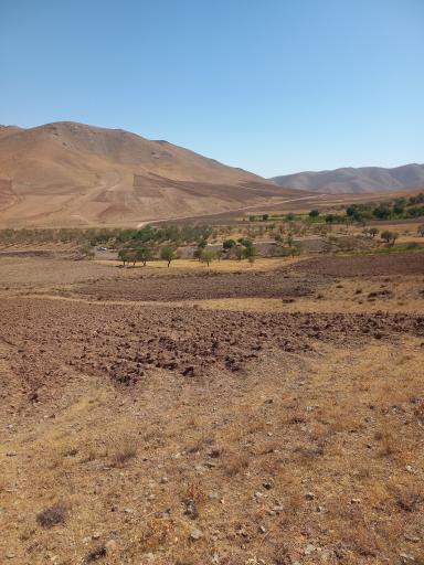 عکس شنستق علیا