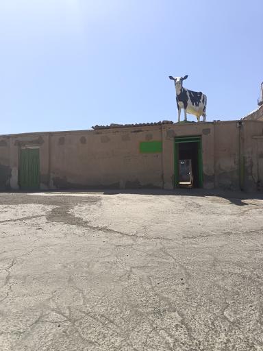عکس لبنیاتی ندیمی