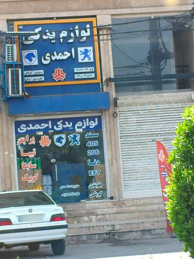 عکس یدکی احمدی