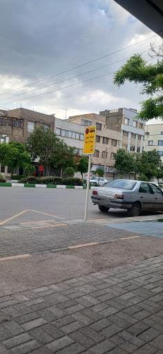 عکس  چمن 87