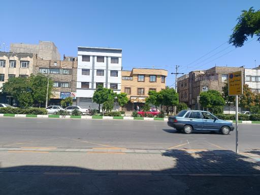 عکس  چمن 87