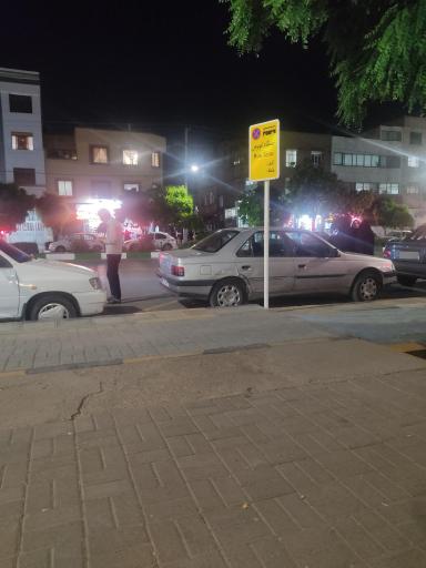 عکس  چمن 87