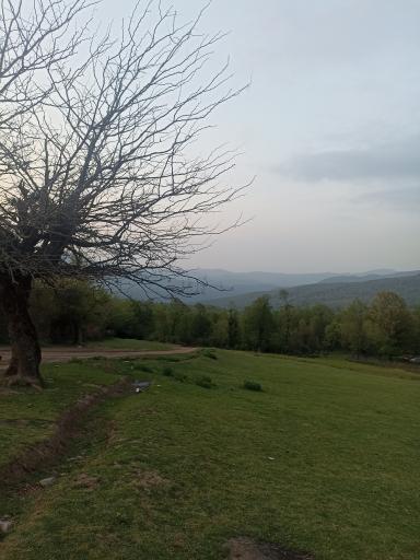 عکس اسطلخ جان