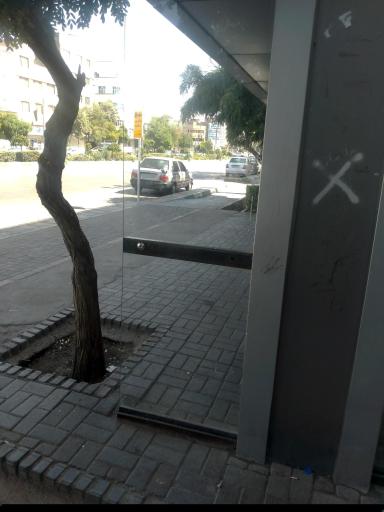 عکس  چمن 87