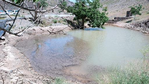 عکس فردوس