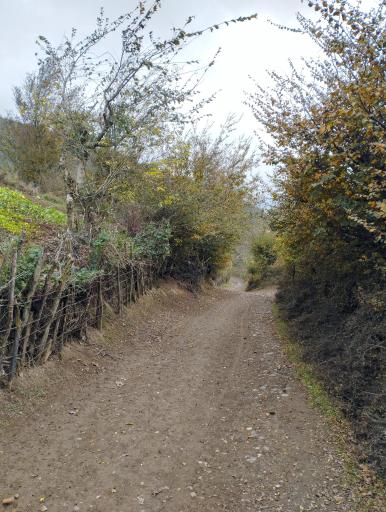 عکس اسطلخ جان