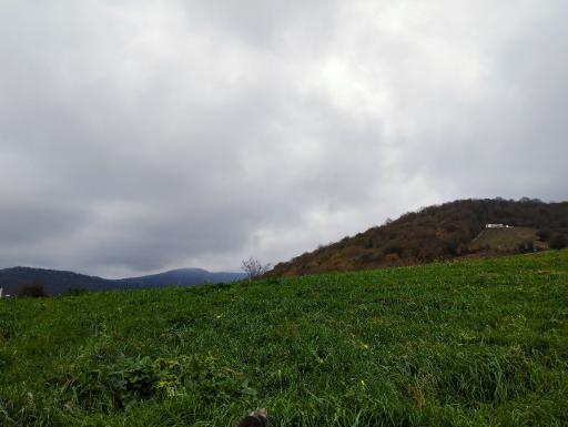 عکس اسطلخ جان