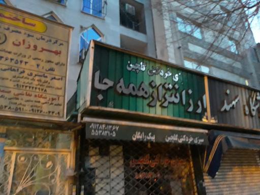 عکس سبزی خردکنی گلچین