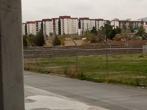 عکس زمین چمن طبیعی قصر فیروزه