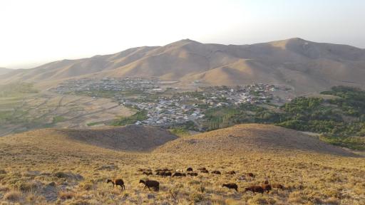 عکس شنستق علیا