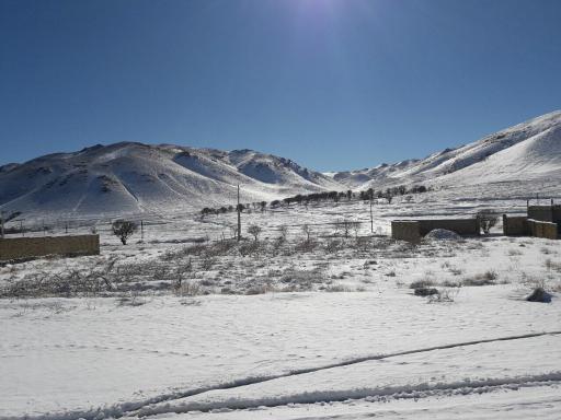عکس شنستق علیا