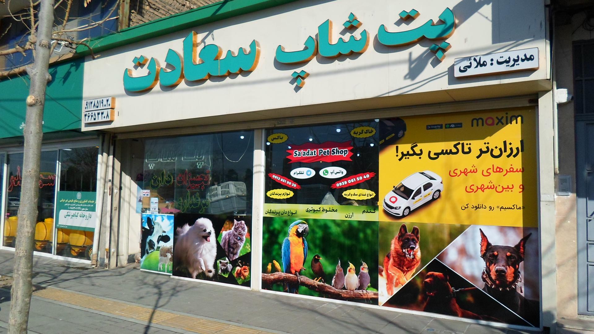 عکس پت شاپ سعادت