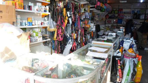 عکس پت شاپ سعادت