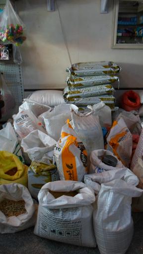 عکس پت شاپ سعادت