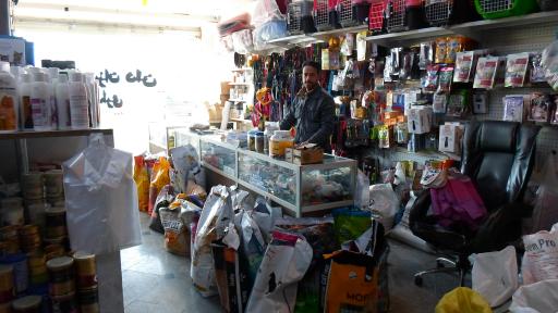 پت شاپ سعادت