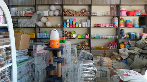 پت شاپ سعادت